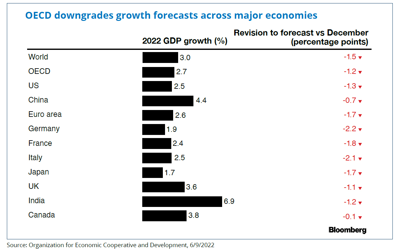 OECD downgrades growth forecasts