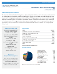 Q1 2025 Moderate Allocation Strategy Fact Sheet