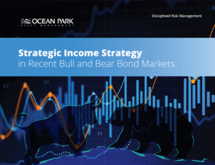 Bull & Bear Markets – Strategic Income Strategy Analysis