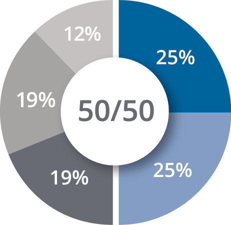 chart showing allocations in 50-50 fund.